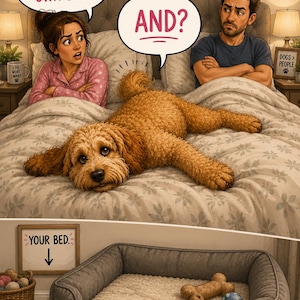 Op de afbeelding: Een illustratie van een koppel in bed met een golden doodle hond. Tekstballonnen bevatten: WE BOUGHT YOU YOUR OWN BED. AND? Een apart paneel toont een grijs hondenbed op de vloer met een botvormig speeltje, een bal en een bordje met YOUR BED.