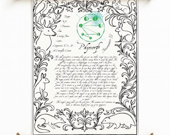Polymorph Spell Scroll: D&D 5e Canvas Prop - TTRPG Gift