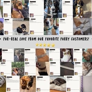 May include: A collage of photos featuring dogs wearing various patterned collars. The text "FUR-REAL LOVE FROM OUR FAVORITE FURRY CUSTOMERS!" is displayed with paw prints and star icons. The collars showcase diverse designs and colors.