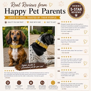 May include: A promotional graphic featuring customer testimonials for a yellow patterned dog collar with a gold metal buckle. The text reads Real Reviews from Happy Pet Parents, Loved by Dogs. Trusted by Their People, and includes 5-star reviews.