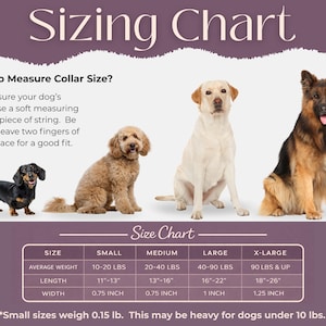 May include: A dog collar sizing chart with the title "Sizing Chart". The chart includes a dachshund, a poodle, a Labrador, and a German Shepherd. The chart provides size information for small, medium, large, and x-large dogs, including weight, length, and width in inches.