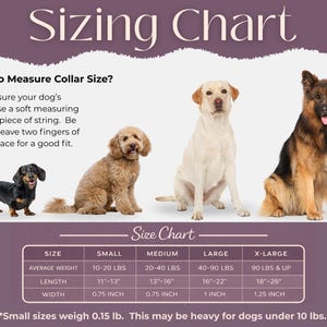 May include: A dog collar sizing chart featuring four dog breeds of varying sizes. The graphic includes instructions on how to measure a dog's neck and a table listing sizes from small to extra-large with corresponding weight, length, and width in inches.