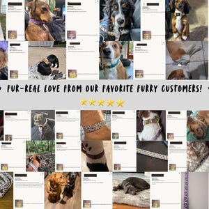 May include: A collage of customer reviews featuring various dogs wearing patterned collars and leashes, with the text FUR-REAL LOVE FROM OUR FAVORITE FURRY CUSTOMERS! and five yellow stars displayed prominently in the center of the image.
