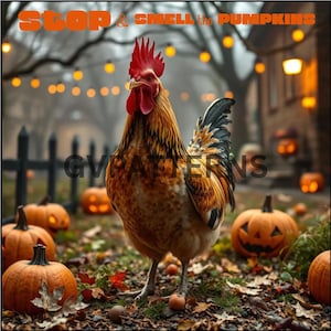 Op de afbeelding: Een kleurrijke haan staat te midden van pompoenen en herfstbladeren, met de tekst "STOP & SMELL the PUMPKINS" erboven. De scène wordt gecreëerd met een vage achtergrond van lichten en een hek, wat een feestelijke Halloween-sfeer oproept.