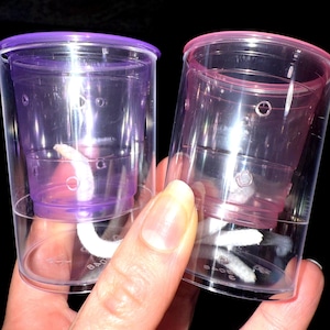 Self-Watering PINK/PURPLE Pup Cup Mini - *Customized Labels Included