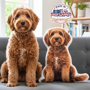 May include: A real-life golden doodle dog sits next to a dog-shaped pillow on a gray couch. The pillow is a replica of the dog. The image includes a "Made in USA" logo.