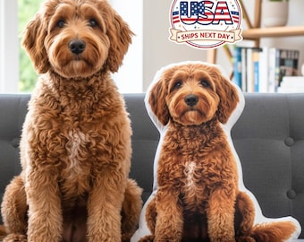 Custom 3D Pet Pillow: Personalized Plush Dog, Cat, or Any Photo Personalized
