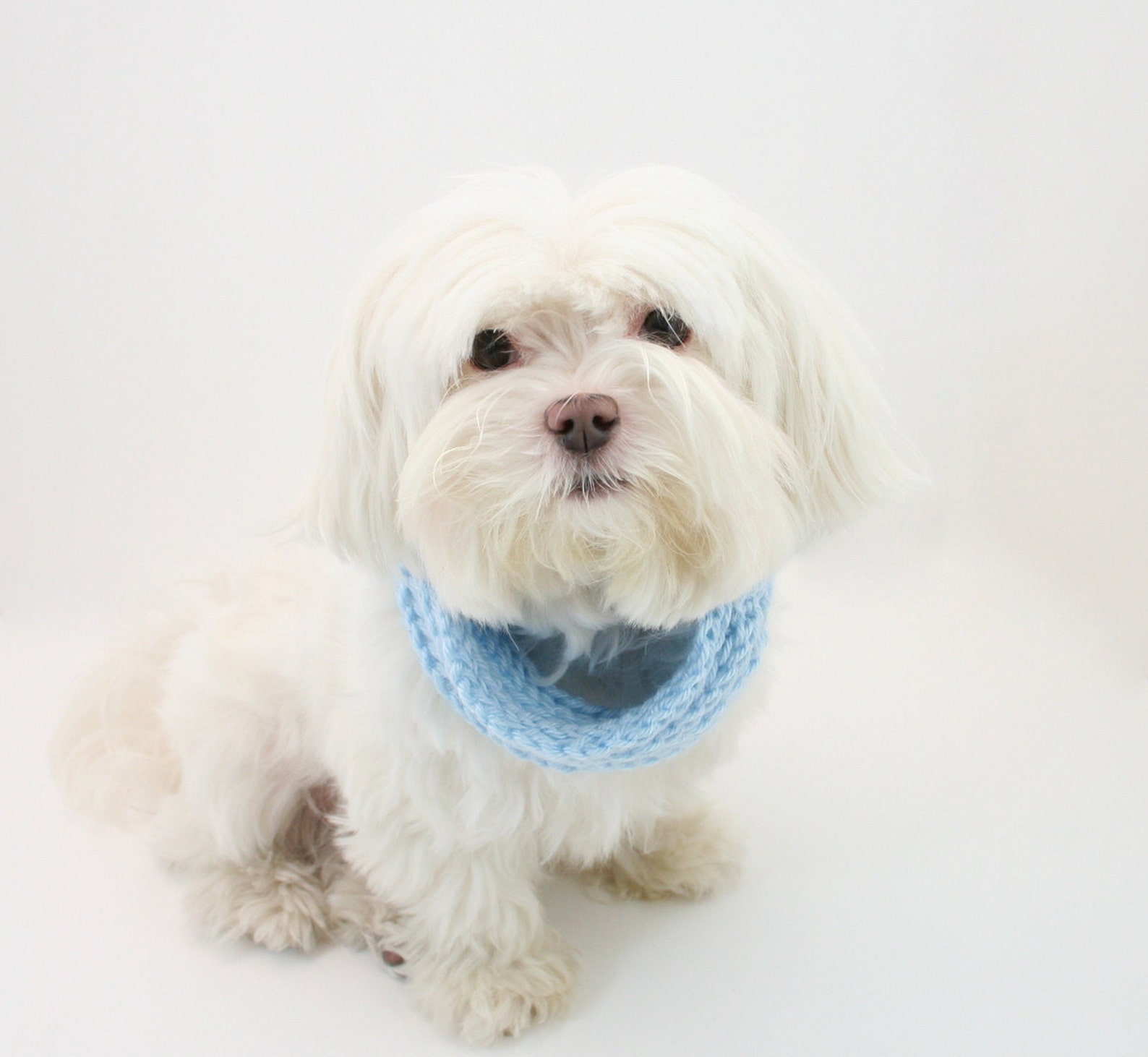 PDF DIGITAL Patterndog Scarf Patterndog Cowl Patternknit Etsy