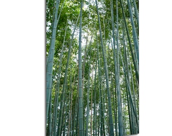 Arashiyama Bamboo Forest Photo, Japanese Wall Art