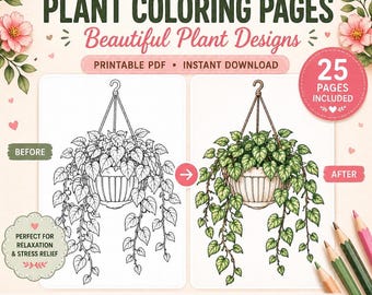 Houseplant Coloring Pages – 25 Potted Flower Designs
