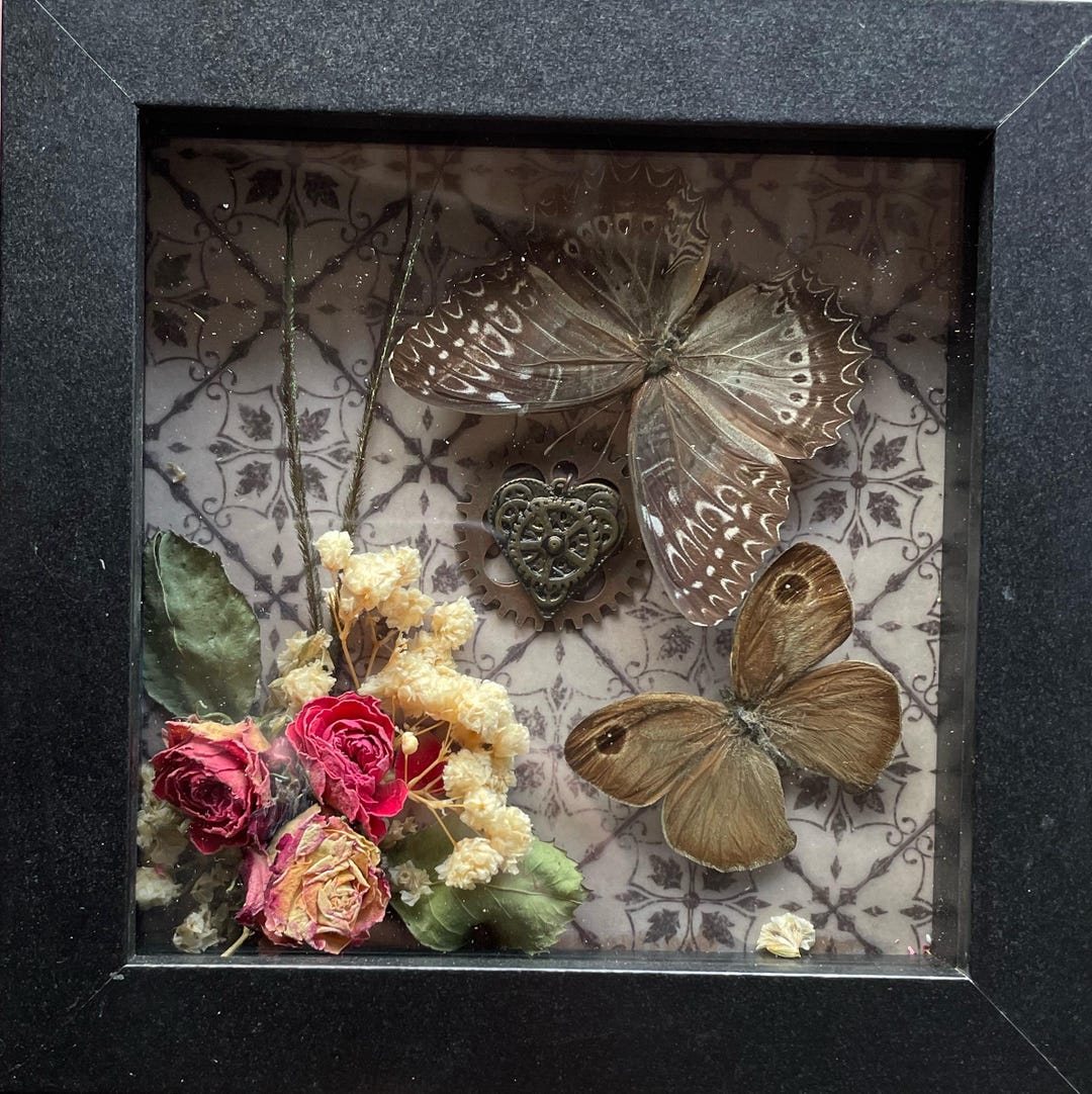 Steampunk Butterfly Shadowbox - Etsy