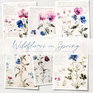 WILDFLOWERS in SPRING Digital Collage Sheet Collection of 6, Journal, Scrapbook, Antique Paperie