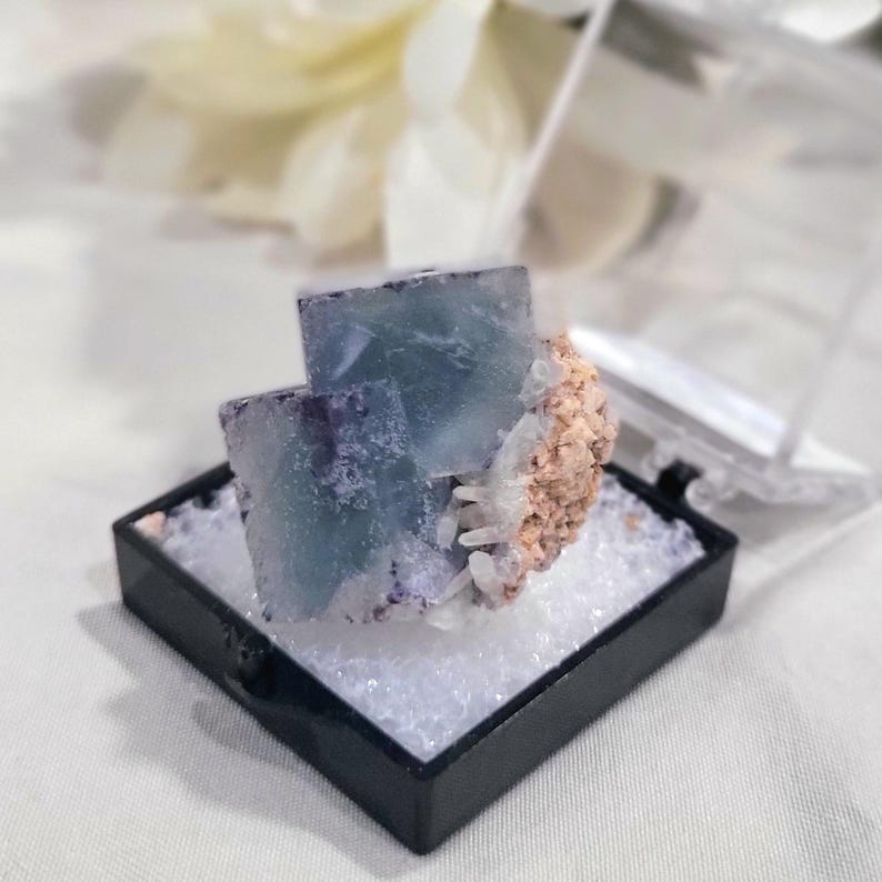 K&ouml;nnte beinhalten: Ein blau-violetter Fluorit-Kristallcluster, pr&auml;sentiert in einer schwarzen Box mit wei&szlig;er F&uuml;llung. Der Kristall hat eine w&uuml;rfelartige Struktur mit einer hellorangen Matrix und kleinen Quarz-Kristallen.