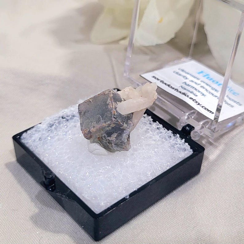 K&ouml;nnte beinhalten: Ein kleines, nat&uuml;rliches Fluoridkristall-Exemplar in einer schwarzen Vitrine mit transparentem Deckel. Der Fluorit hat eine Mischung aus Grau- und Braunt&ouml;nen mit einer Ansammlung wei&szlig;er Kristalle. Das Geh&auml;use steht auf einer wei&szlig;en, strukturierten Oberfl&auml;che. Der Text auf der Karte lautet "Fluorit".