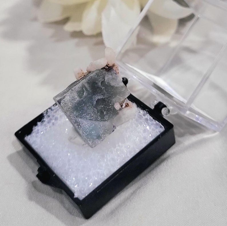 K&ouml;nnte beinhalten: Ein blau-graues Mineralexemplar mit rosa Akzenten, pr&auml;sentiert in einer schwarzen Box mit transparentem Deckel. Das Mineral liegt auf wei&szlig;em Schaumstoff. Die Pr&auml;sentation ist sauber und professionell und unterstreicht die nat&uuml;rliche Sch&ouml;nheit des Steins. Die Box misst ca. 5 cm x 5 cm.