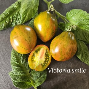 Puede incluir: Cuatro tomates antiguos, uno cortado por la mitad, con hojas verdes. Los tomates son una mezcla de naranja y verde con el texto "Victoria smile" en blanco.