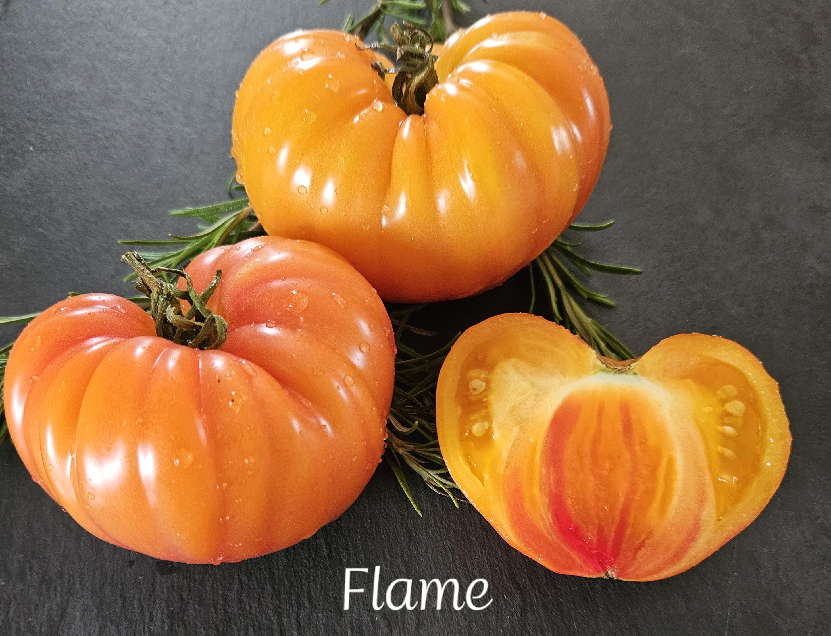 Amela tomate samen - Etsy sterreich