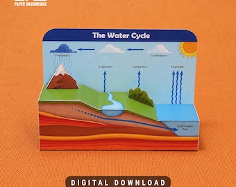 Water Cycle Diorama Paper Craft Template | 3D Science Project for Kids | Homeschool Earth Science Activity