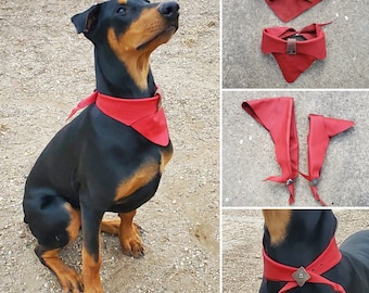 May include: A black and brown Doberman Pinscher wearing a red leather dog collar with a silver buckle. The dog is sitting on a brown dirt surface. The image also shows three different red leather dog collars with silver buckles.