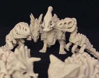Dinosaurusskeletbundel: 3 mixen en matchen