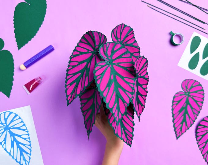 DIY Paper Plant Kit: Begonia Brevirimosa, with Video Tutorial