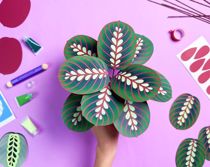 DIY Paper Plant Kit: Maranta Calathea , with Video Tutorial