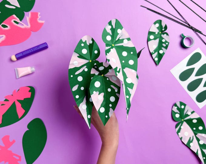 DIY Paper Plant Kit: Pink Variegated Polka Dot Begonia, with Video Tutorial