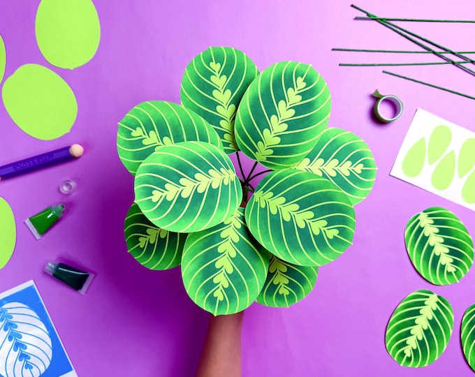 DIY Paper Plant Kit: Lemon Lime Calathea, with Video Tutorial