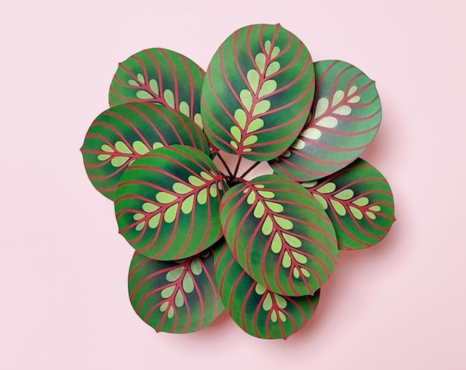 Maranta Calathea Paper Plant, 3D Wall Art