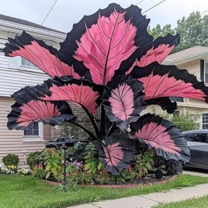 May include: A large, artificial plant with oversized leaves. The leaves are a vibrant pink with black edges, creating a striking contrast. The plant is set in a garden bed with other greenery, adding a bold statement to the outdoor space.