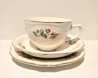 Vintage Floral Teacup with Saucer and Side Plate