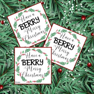 Weihnachtsgeschenkanhänger, BERRY Frohe Weihnachten Spaß, Nachbar Geschenkanhänger, Printable, Instant Download, Digital