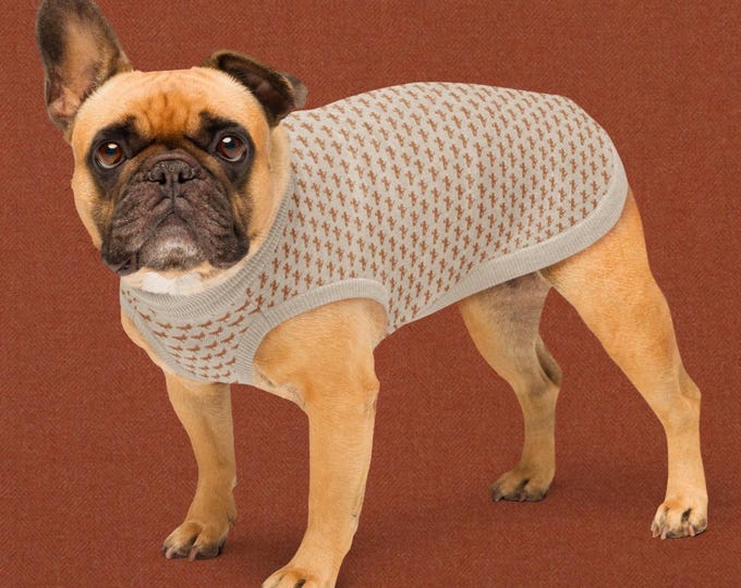 Champagne Chalet Mallard Duck Dog Sweater | Heritage Knit Pet Sweater | Matching Family Outfit | Preppy Luxury Pet Apparel