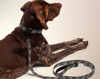 Mallard Duck Print Dog Collar | Heritage Collection Pet Accessory