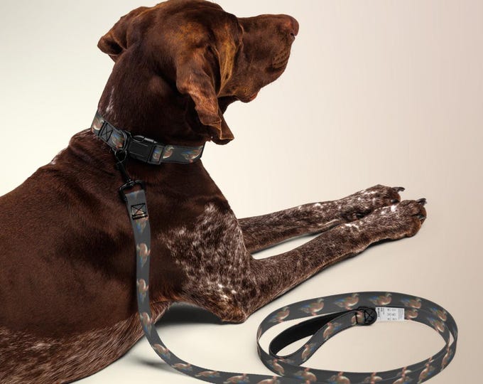 Mallard Duck Print Dog Collar | Heritage Collection Pet Accessory