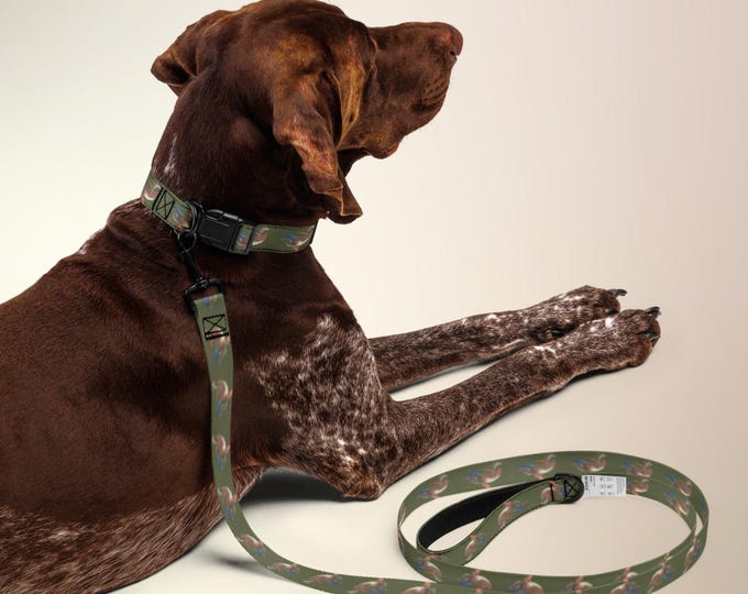 Mallard Duck Dog Collar & Leash Set | Evergreen Estate Preppy Pet Bundle