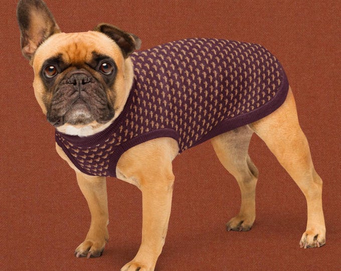 Bordeaux Burgundy Mallard Duck Dog Sweater | Heritage Knit Pet Sweater | Matching Family Outfit | Preppy Luxury Pet Apparel