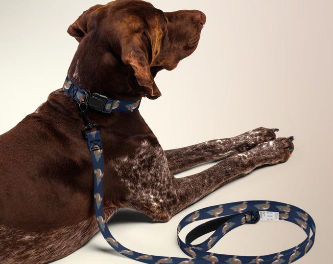 Mallard Reserve Newport Navy Duck Print Dog Collar & Leash Set | Preppy Estate Pet Bundle | Luxury Mallard Print | Top Nacch Luxe