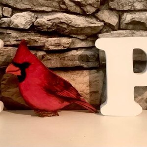 HOPE Interchangeable BASIC Letter Set - Interchangeable Letters - FREE Shipping