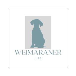 Weimaraner Dog Sticker – Cute Weimaraner Life Logo, Waterproof Laptop & Water Bottle Decal, Dog Lover Gift