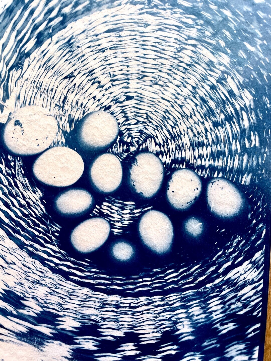 Original A4 Cyanotype at the Bottom of the Basket - Etsy