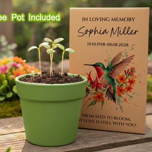 May include: A green plant pot with young sprouts, next to a memorial card. The card reads "In Loving Memory Sophia Miller" with dates and a hummingbird illustration. Text on the card says "From seed to bloom, my love is still with you!"