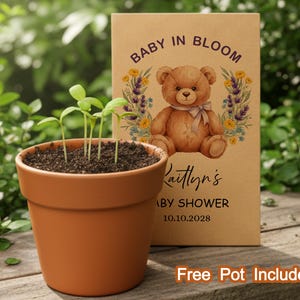 Op de afbeelding: Een terracotta pot met ontkiemende zaailingen staat voor een kraft papieren kaart. De kaart toont een aquarel teddybeer, bloemmotieven en de tekst "Baby in Bloom" en "Kaitlyn's Baby Shower".