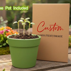 May include: A green ceramic pot with young seedlings growing in soil, next to a brown cardboard box with the word "Custom" in red script and the text "LOGO/TEXT/IMAGE". The words "Free Pot Included" are in green text above the pot.