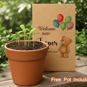 May include: A terracotta pot with sprouting seedlings sits in front of a kraft paper card. The card reads "Welcome Baby" with a teddy bear holding balloons. The text "Jasper" and "May 2028" are also visible.