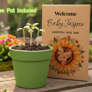 May include: A green ceramic pot with sprouting seedlings, next to a card that says "Welcome Baby Jasper ARRIVING MAY 2028" with a sunflower and baby illustration. The pot is filled with soil and the card is on a wooden surface.