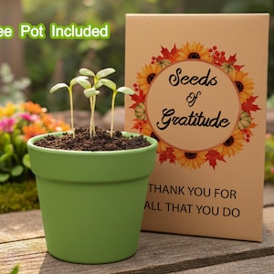 Könnte beinhalten: Ein grüner Topf mit sprießenden Pflanzen neben einer Karte mit der Aufschrift "Seeds of Gratitude". Die Karte zeigt ein kreisförmiges Design mit Sonnenblumen, Kürbissen und Herbstblättern. Der Text "THANK YOU FOR ALL THAT YOU DO" steht ebenfalls auf der Karte.