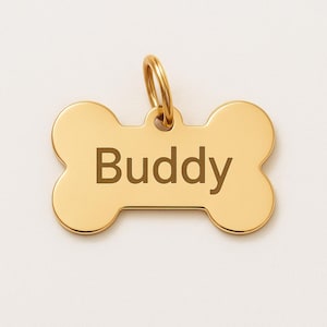 May include: A gold-colored, bone-shaped pet tag with the name "Buddy" engraved in a bold, sans-serif font. The tag has a circular loop for attaching to a collar. The tag is made of a shiny, metallic material.