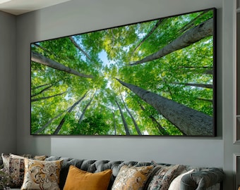 May include: A large framed print of a forest canopy, viewed from below. The image captures tall, slender tree trunks reaching upwards, with vibrant green leaves forming a canopy against a blue sky. The artwork is displayed above a gray sofa with decorative pillows.