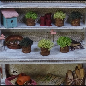 Miniature Plant in Rusty pot, 12th scale minature plant for dollhouse